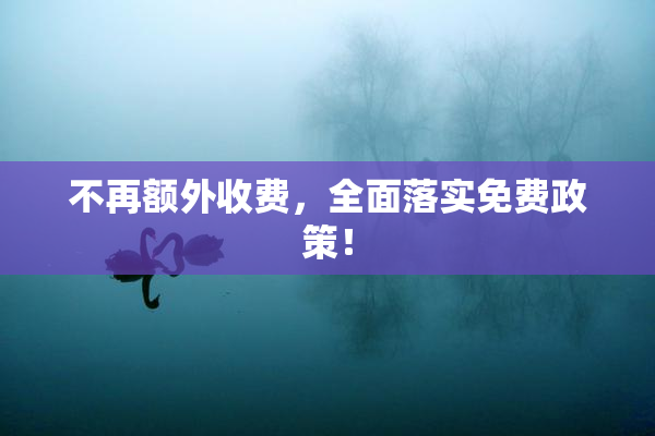 不再额外收费，全面落实免费政策！