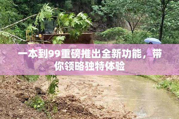 一本到99重磅推出全新功能，带你领略独特体验