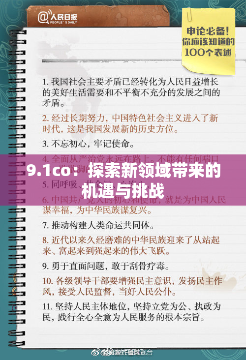 9.1co：探索新领域带来的机遇与挑战