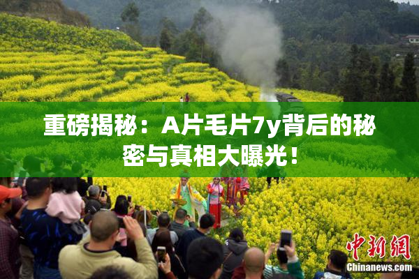 重磅揭秘：A片毛片7y背后的秘密与真相大曝光！