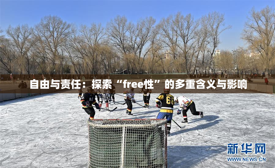 自由与责任：探索“free性”的多重含义与影响