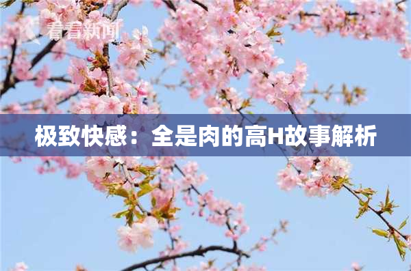 极致快感：全是肉的高H故事解析