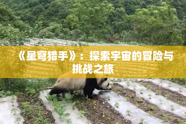 《星穹猎手》：探索宇宙的冒险与挑战之旅