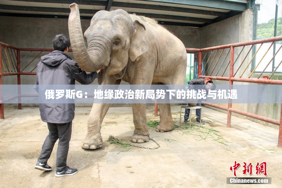 俄罗斯G：地缘政治新局势下的挑战与机遇