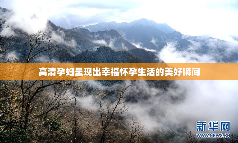 高清孕妇呈现出幸福怀孕生活的美好瞬间