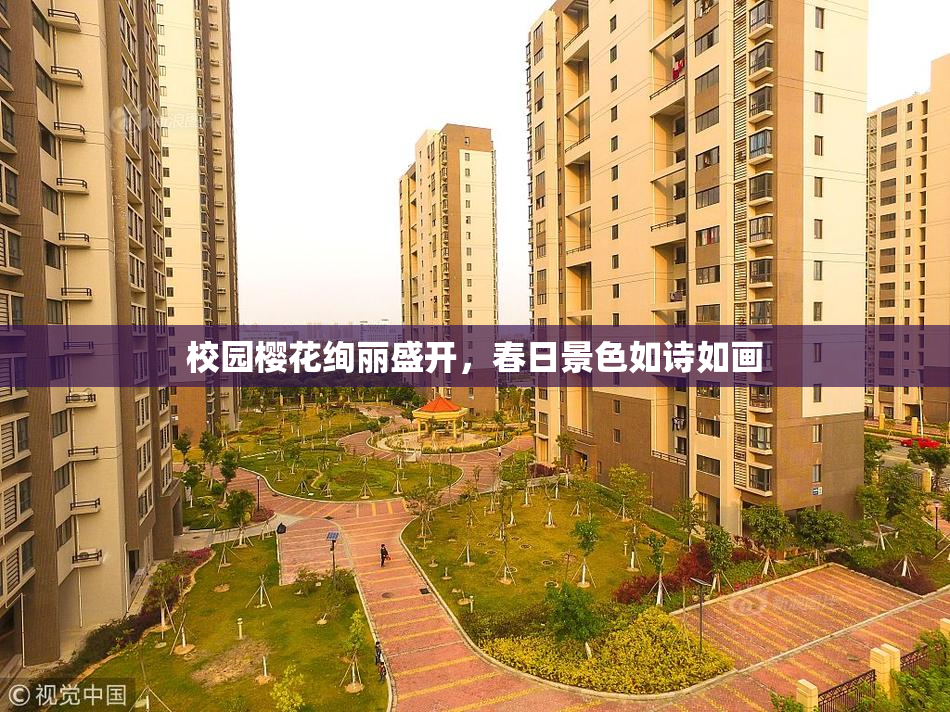 校园樱花绚丽盛开，春日景色如诗如画