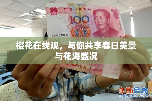 樱花在线观，与你共享春日美景与花海盛况