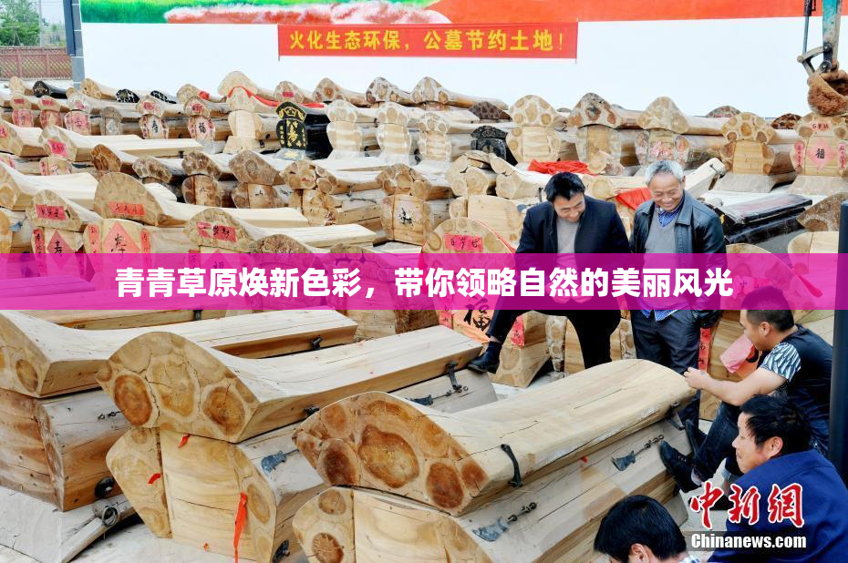 青青草原焕新色彩，带你领略自然的美丽风光