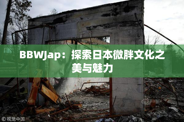 BBWJap：探索日本微胖文化之美与魅力