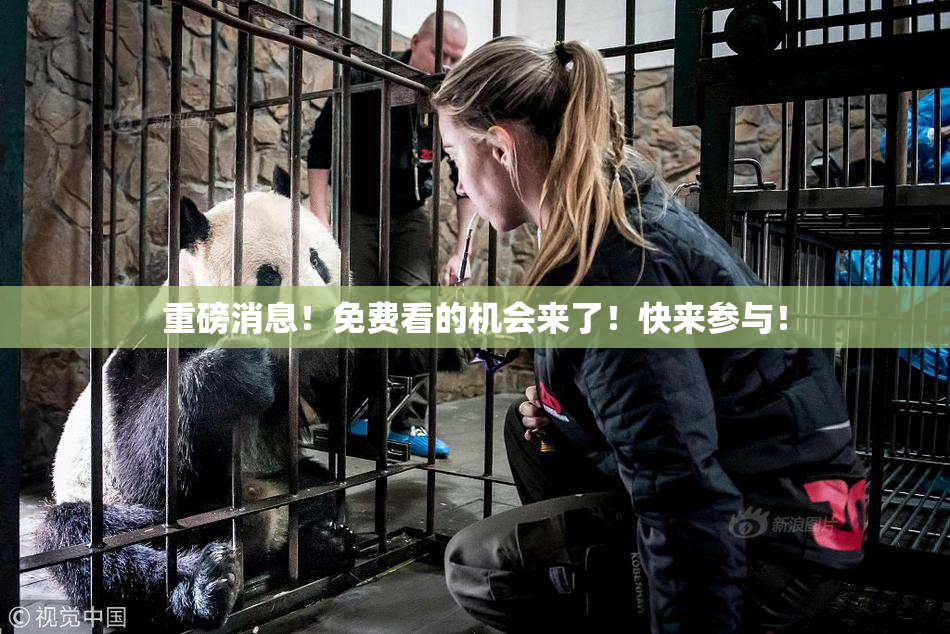 重磅消息！免费看的机会来了！快来参与！