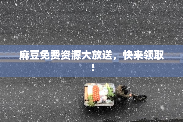 麻豆免费资源大放送，快来领取！