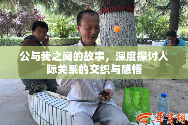公与我之间的故事，深度探讨人际关系的交织与感悟