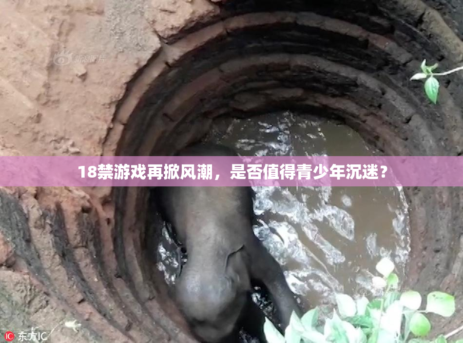 18禁游戏再掀风潮，是否值得青少年沉迷？