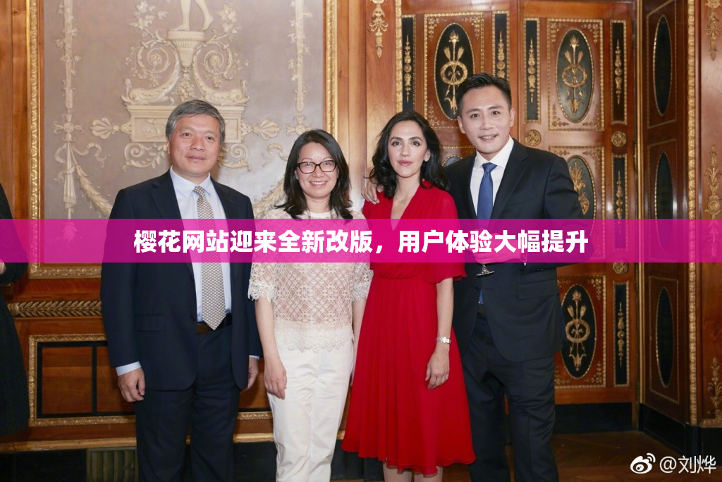 樱花网站迎来全新改版，用户体验大幅提升