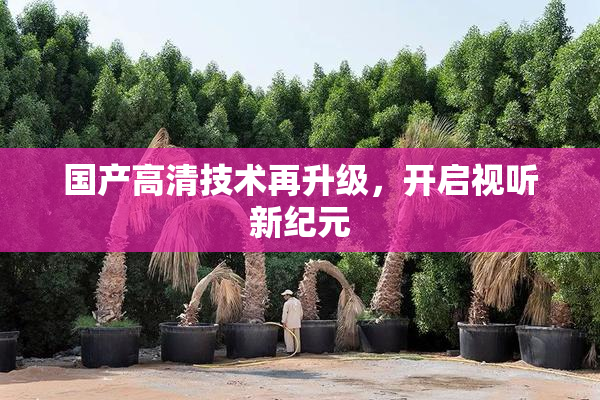 国产高清技术再升级，开启视听新纪元