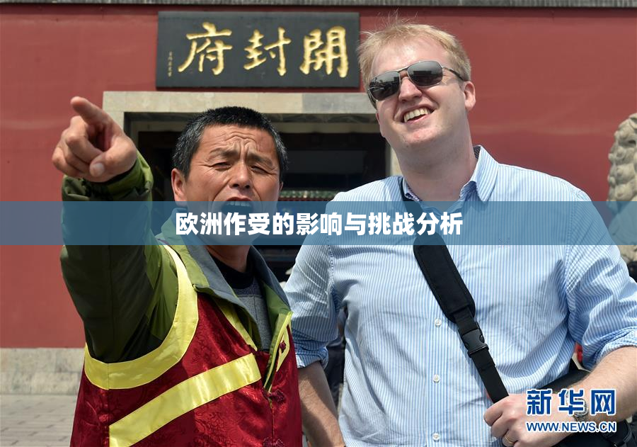 欧洲作受的影响与挑战分析