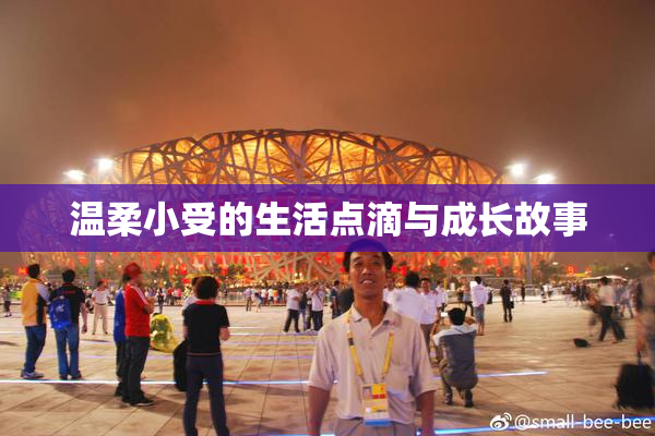温柔小受的生活点滴与成长故事