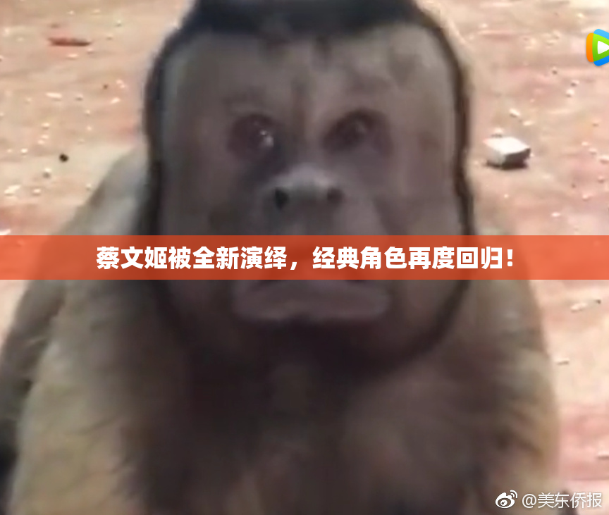 蔡文姬被全新演绎，经典角色再度回归！
