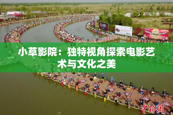 小草影院：独特视角探索电影艺术与文化之美