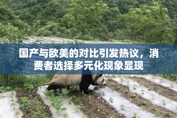 国产与欧美的对比引发热议，消费者选择多元化现象显现