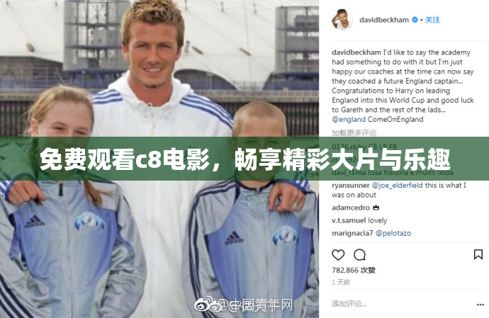 免费观看c8电影，畅享精彩大片与乐趣