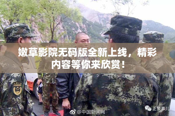 嫩草影院无码版全新上线，精彩内容等你来欣赏！