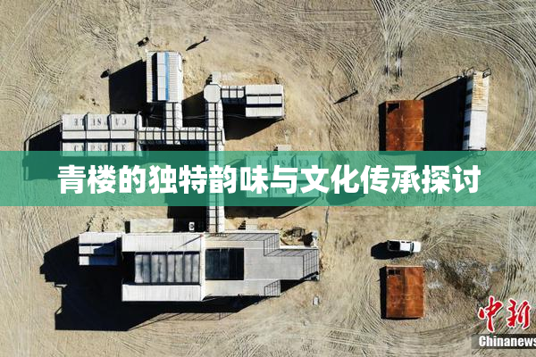 青楼的独特韵味与文化传承探讨