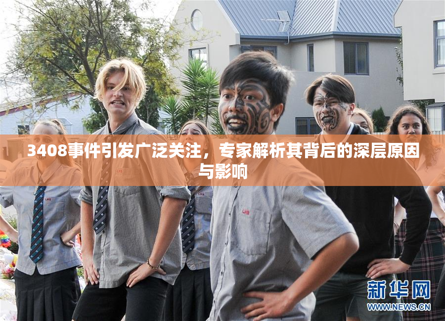 3408事件引发广泛关注，专家解析其背后的深层原因与影响
