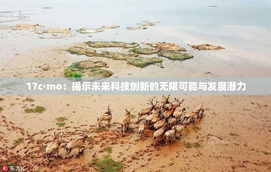 17c·mo：揭示未来科技创新的无限可能与发展潜力