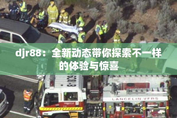 djr88：全新动态带你探索不一样的体验与惊喜