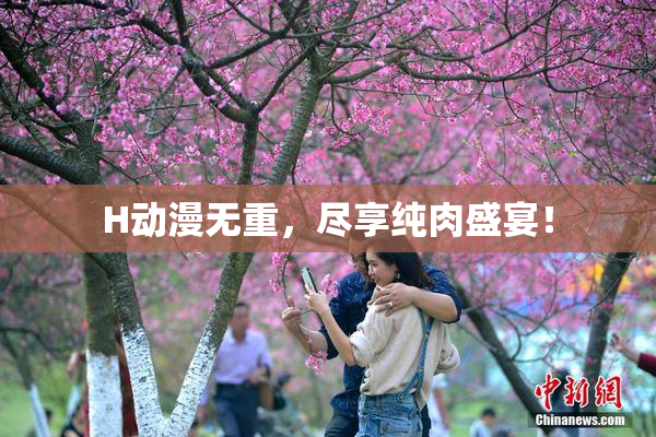 H动漫无重，尽享纯肉盛宴！