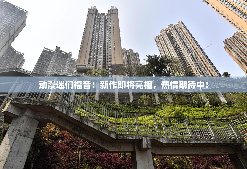 动漫迷们福音！新作即将亮相，热情期待中！
