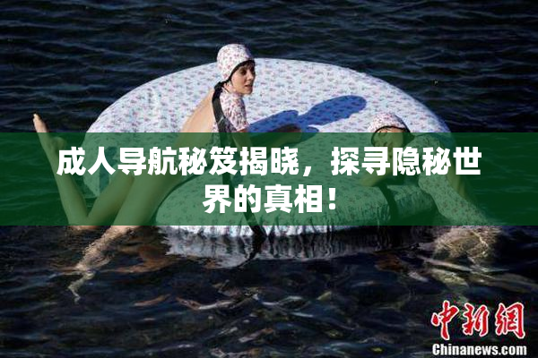 成人导航秘笈揭晓，探寻隐秘世界的真相！