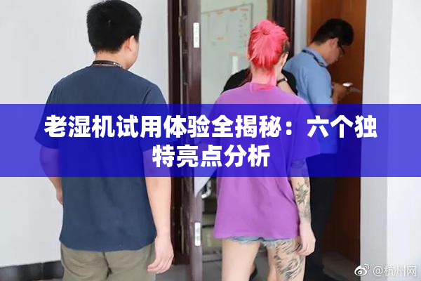 老湿机试用体验全揭秘：六个独特亮点分析