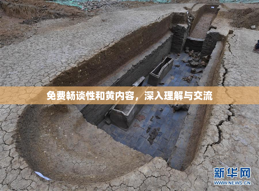 免费畅谈性和黄内容，深入理解与交流