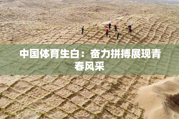 中国体育生白：奋力拼搏展现青春风采