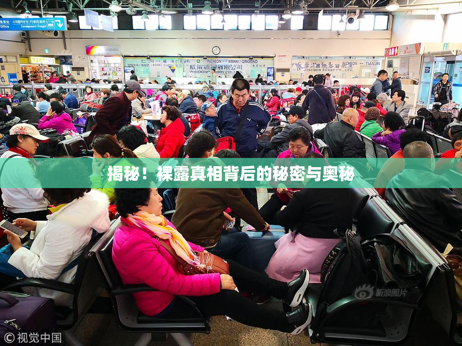 揭秘！裸露真相背后的秘密与奥秘