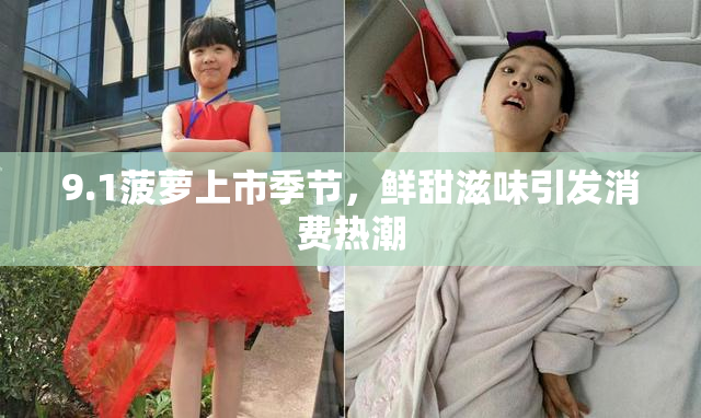 9.1菠萝上市季节，鲜甜滋味引发消费热潮