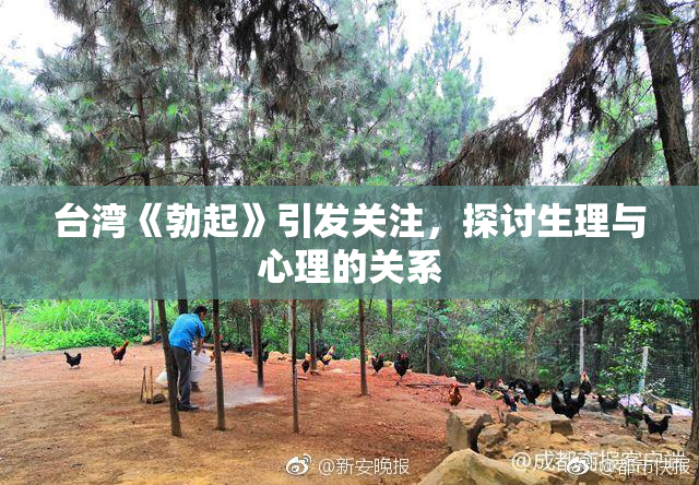 台湾《勃起》引发关注，探讨生理与心理的关系