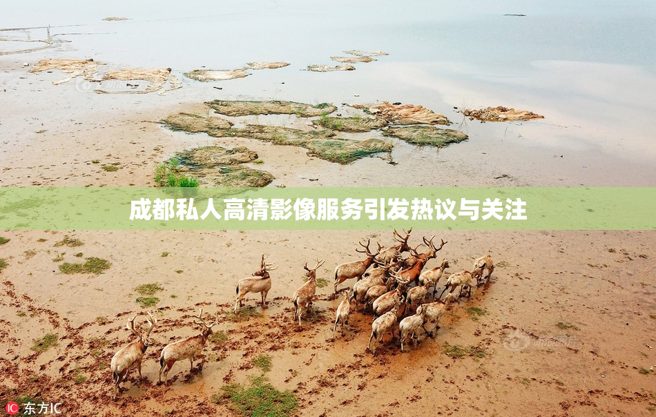 成都私人高清影像服务引发热议与关注