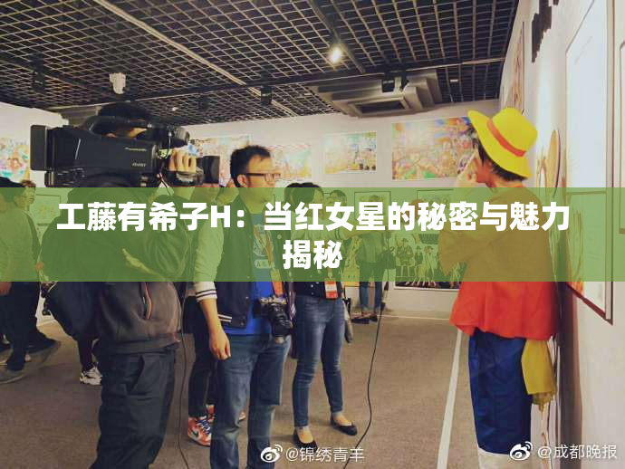 工藤有希子H：当红女星的秘密与魅力揭秘