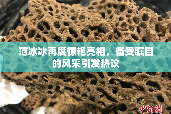范冰冰再度惊艳亮相，备受瞩目的风采引发热议