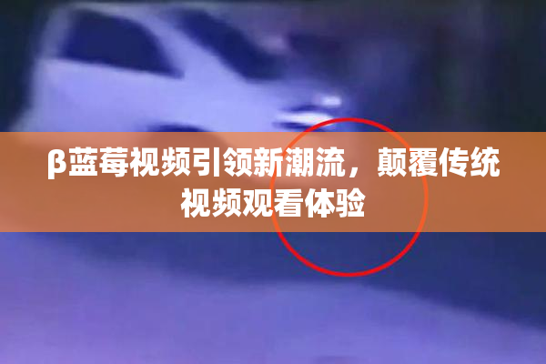β蓝莓视频引领新潮流，颠覆传统视频观看体验