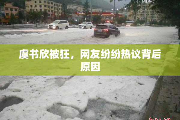 虞书欣被狂，网友纷纷热议背后原因