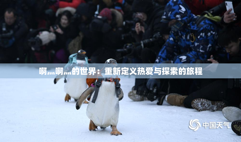 啊灬啊灬的世界：重新定义热爱与探索的旅程