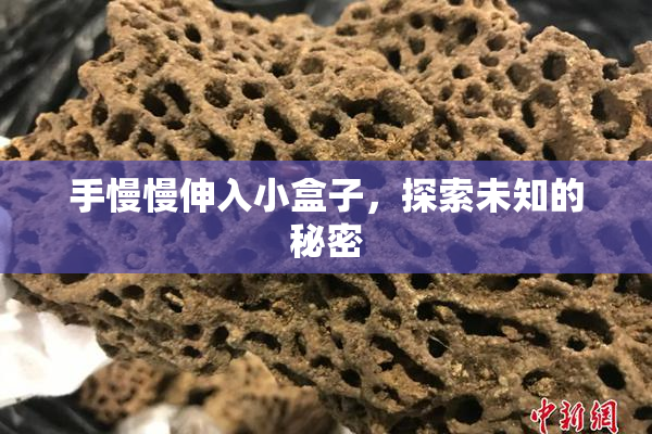 手慢慢伸入小盒子，探索未知的秘密