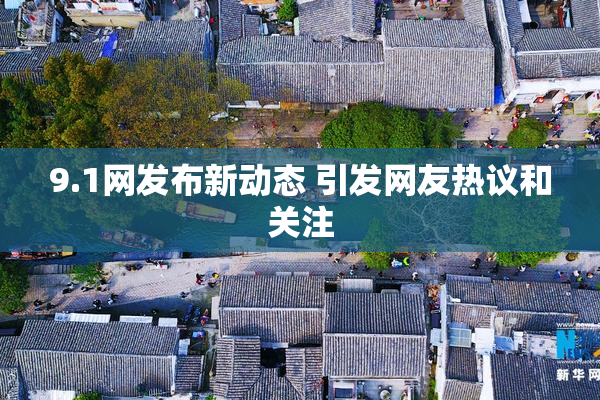 9.1网发布新动态 引发网友热议和关注