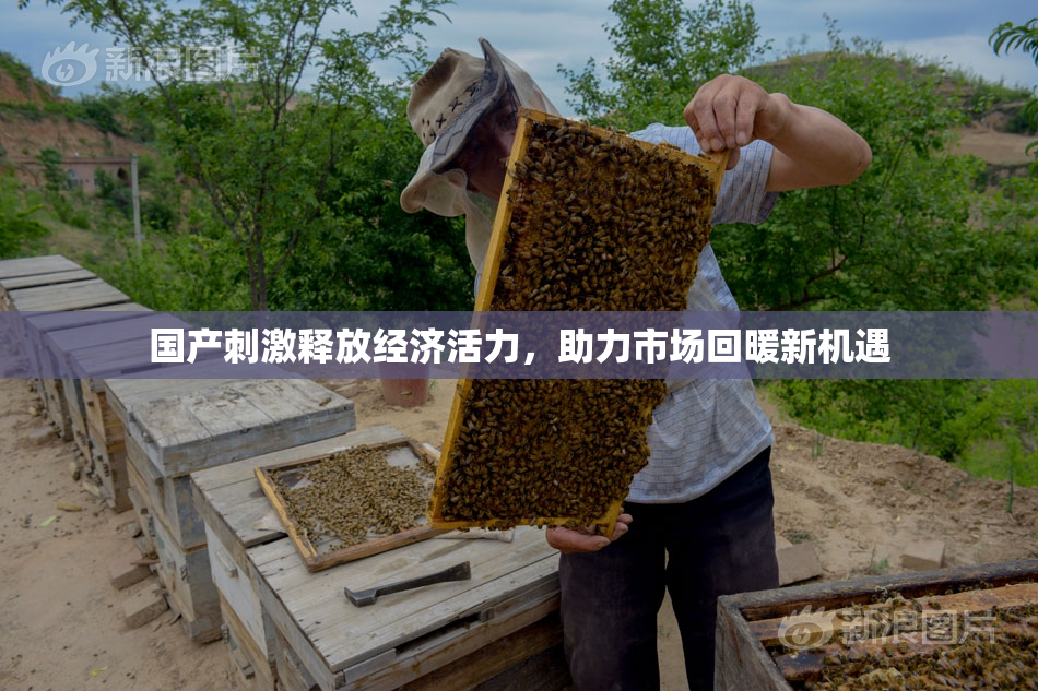 国产刺激释放经济活力，助力市场回暖新机遇