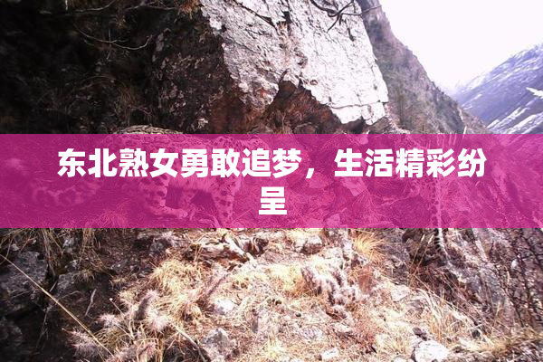 东北熟女勇敢追梦，生活精彩纷呈