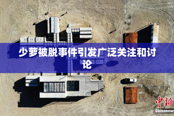 少萝被脱事件引发广泛关注和讨论